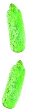 Cornichons acidulés - 100g