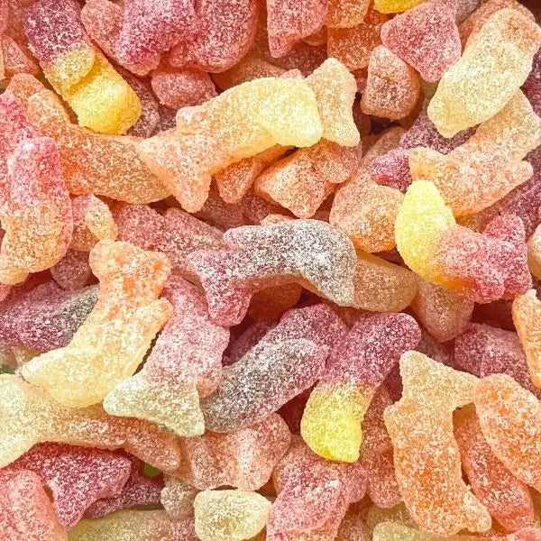 Dauphin Citrique 100g