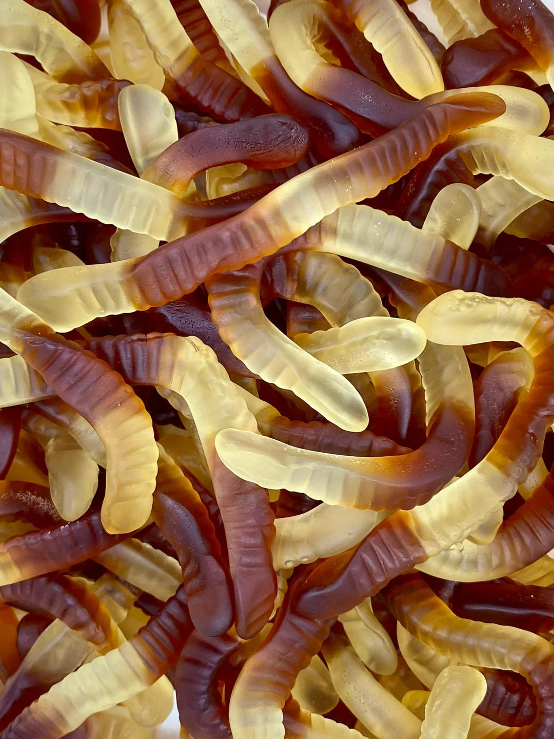 Vers Cola lisse HALAL 100g