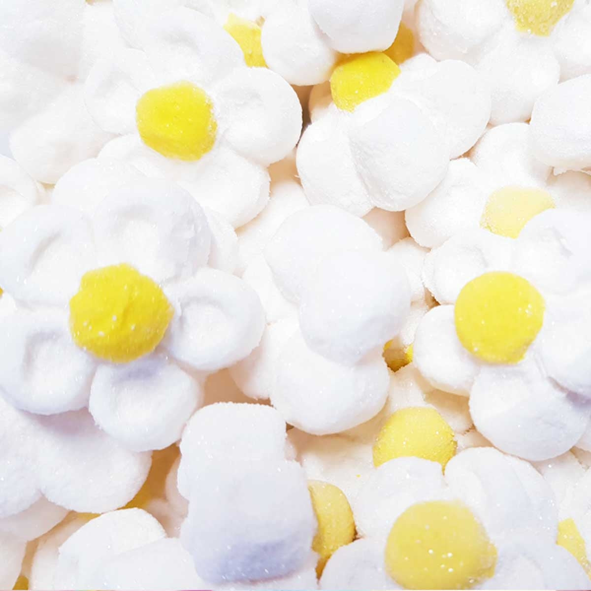 Marguerite Blanche Marshmallow