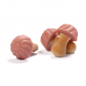 Champignons à la fraise 100g