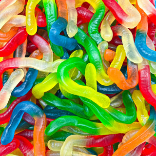 Vers de terre  100g