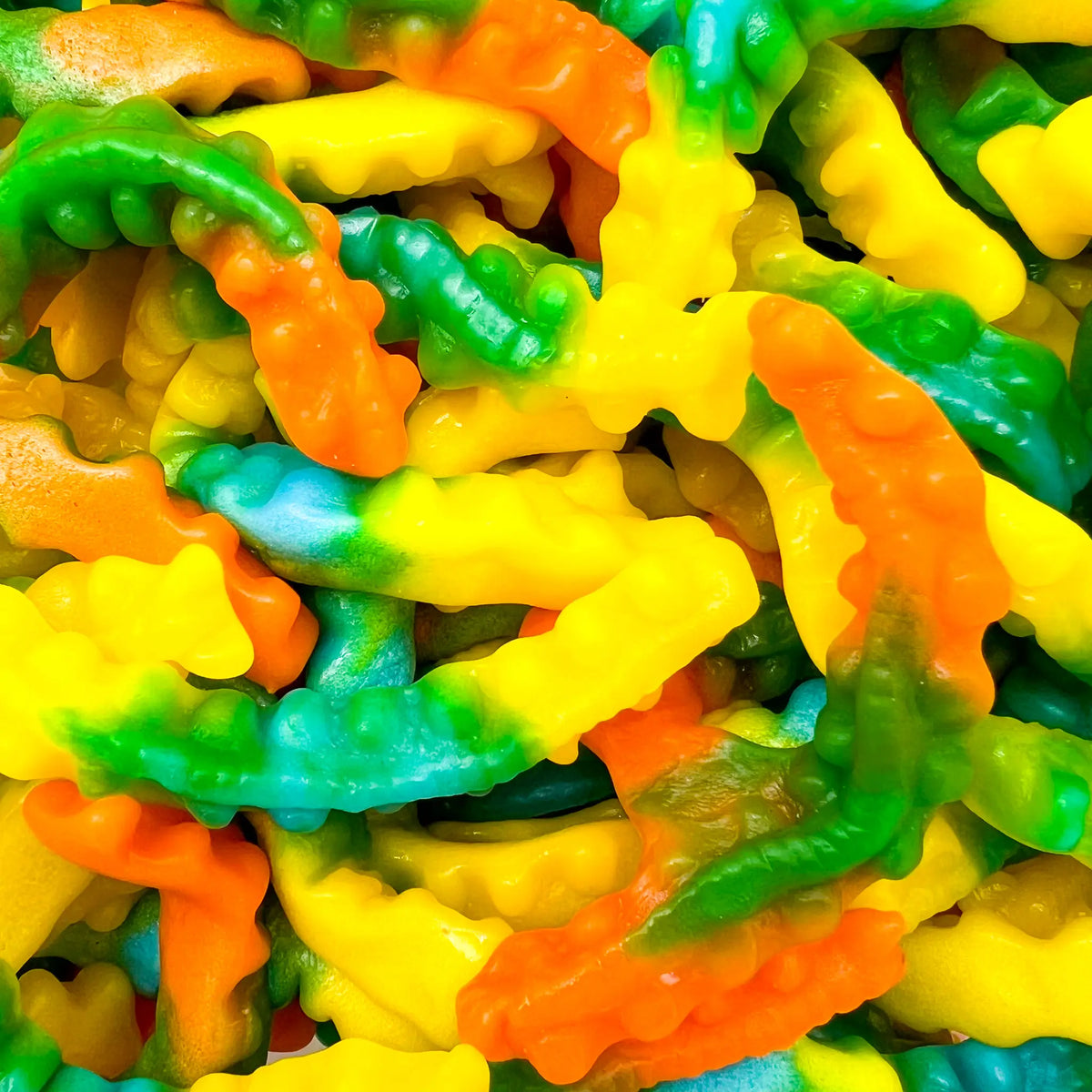 Centipède Lisse  100g