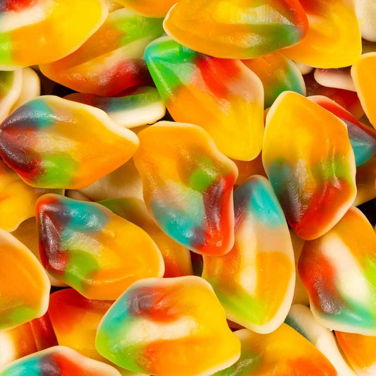 Bouche Multicolor Lisse  HALAL 100g