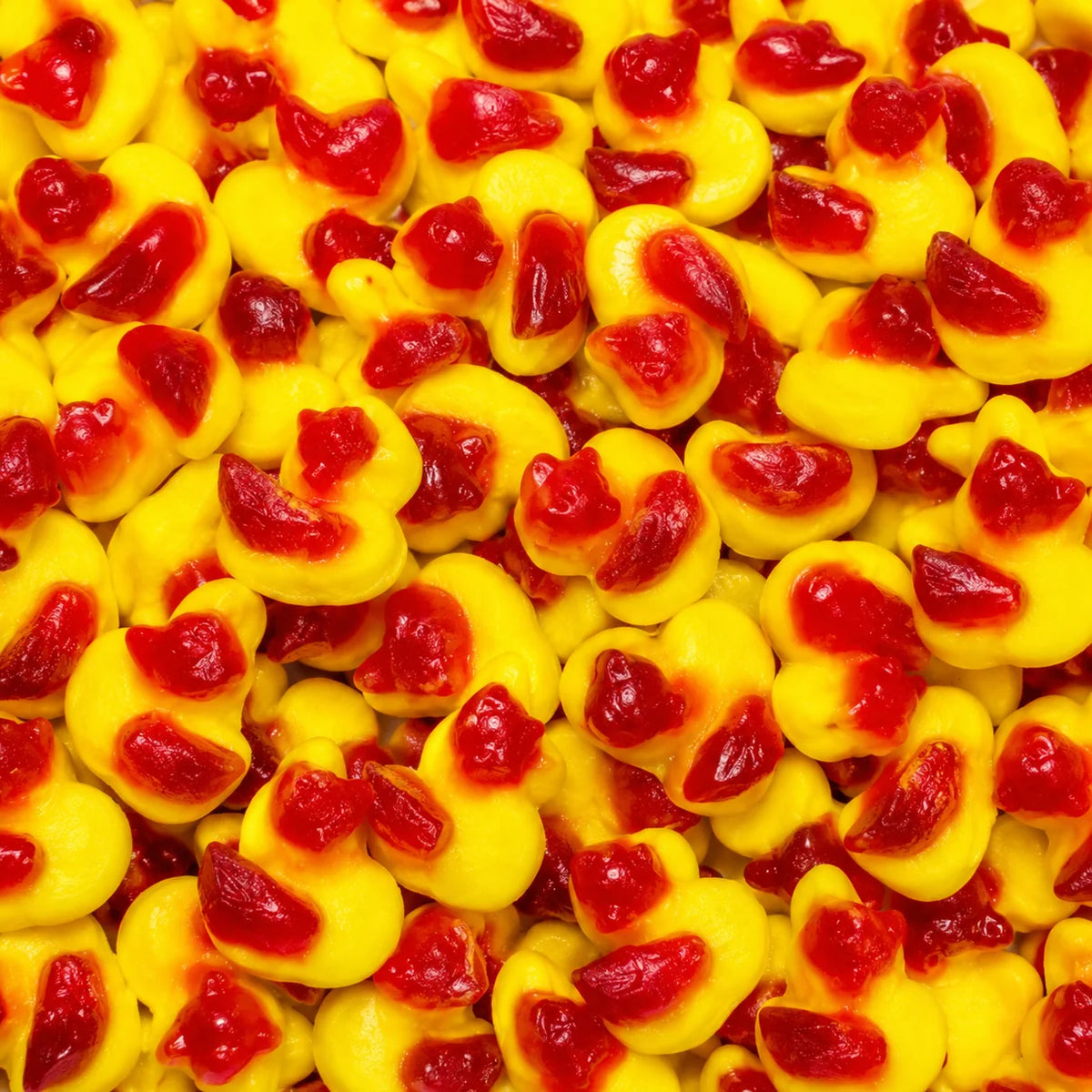 Canards - 100g