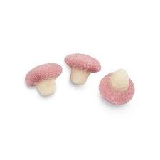 CHAMPIGNONS 100g