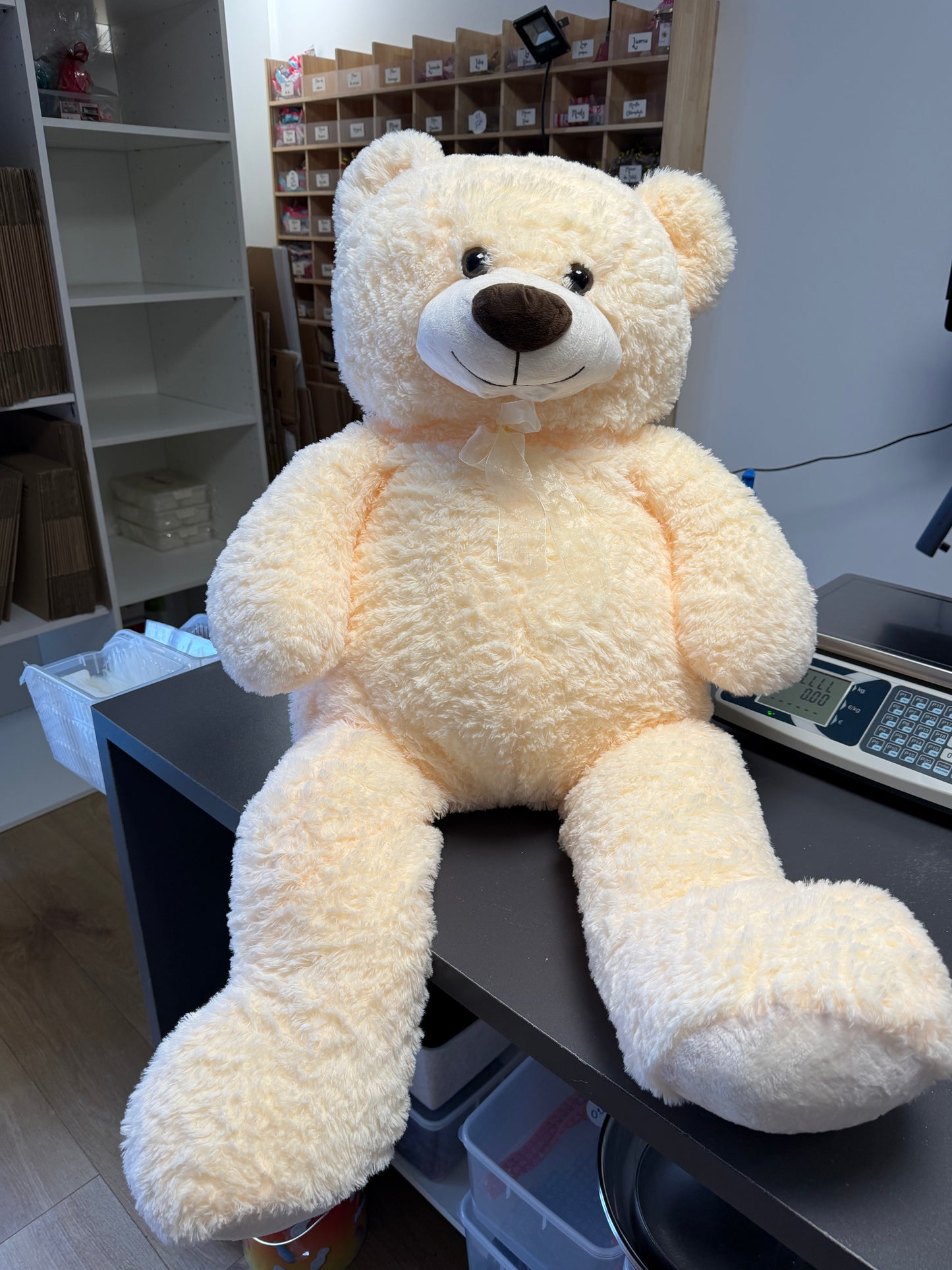 Peluche Ourson + 1m