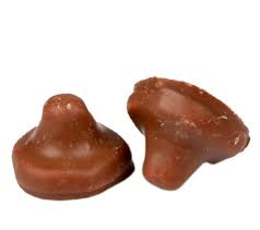 Champignons au chocolat 100g