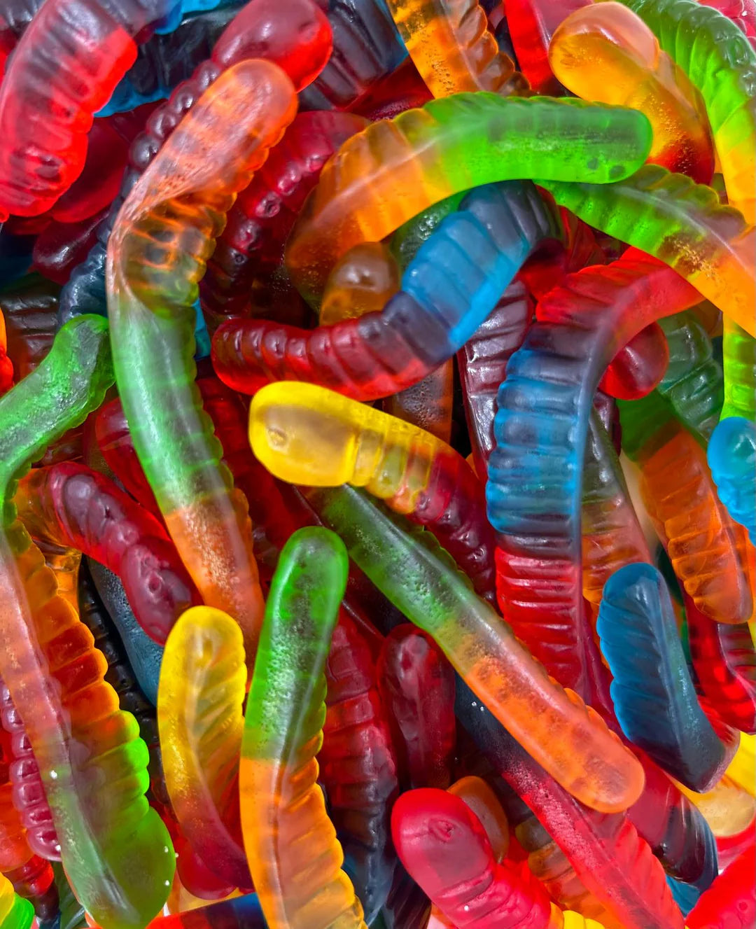Vers de terre HALAL 100g