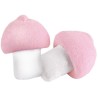 CHAMPIGNONS BULGARI 100g