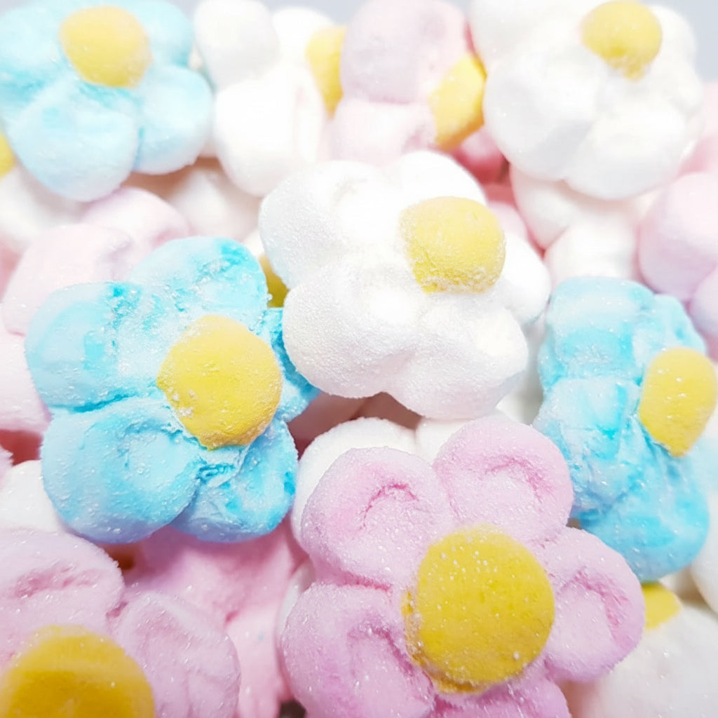 Marguerite Multicolore Marshmallow