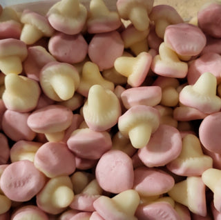 CHAMPIGNONS LISSE Halal 100g