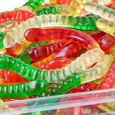Worms 100g