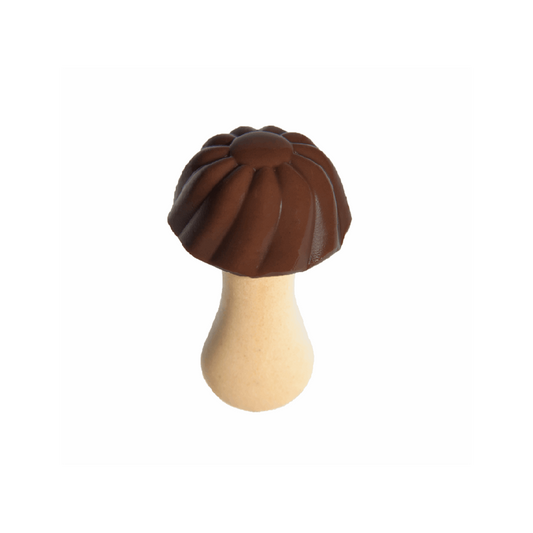 Champignons au chocolat  100g