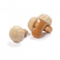 Champignons chocolat blanc  100g
