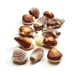 FRUITS DE MER chocolat et praliné 100g