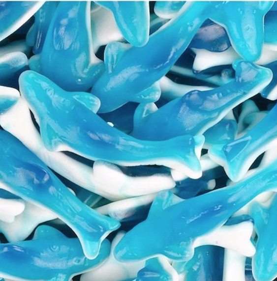 Requin Bleu 100g