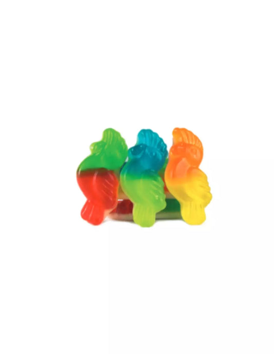 Perroquet - 100g